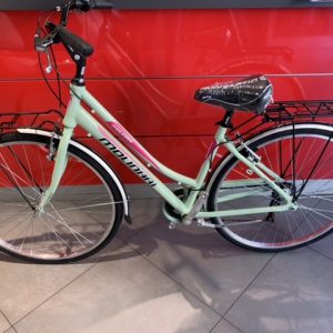 Bicicletta City-Bike “ By Molinari “Uomo Alluminio 6 V Misura 50 colore Verde  Militare Lucido