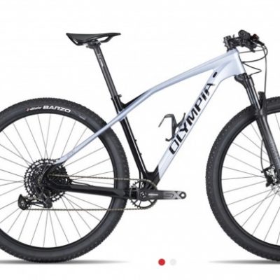 Bicicletta Mtb 29“Olympia Iron Pro Carbonio Sram 12 V Disc ”Carbonio 12 V Telaio Misura M Bianco-Nero