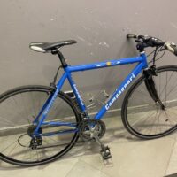 Bici Sportiva Trekking  28 Pollici 21 Velocità Marca Campagnari  Alluminio Telaio Misura M 50  colore Azzurra-Bianca Usata  pochissimo