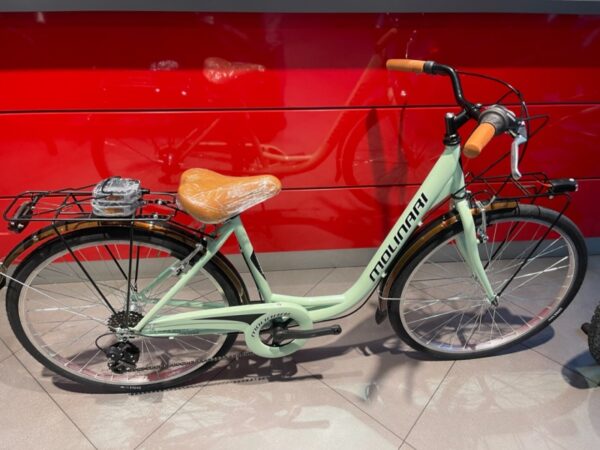 Bicicletta Monotubo Donna "Molinari"Ruota 26  Acciaio  - 6 Velocità Colore Verde Lucida